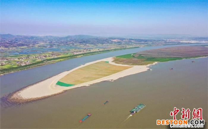 图为航拍武汉至安庆段6米水深航道整治工程“沙滩”变“绿洲” 陈宇 摄