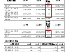 罗曼股份2021年营收增加22.5%毛利率降5.22个百分点 主营产品毛利率走弱