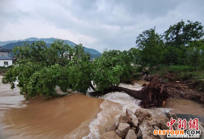 图为桂林恭城观音乡遭受强降雨袭击，河流水位上涨。 蒋治宇 摄