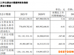 摘帽一年，海南椰岛亏损逾6000万，前十大股东“变阵”