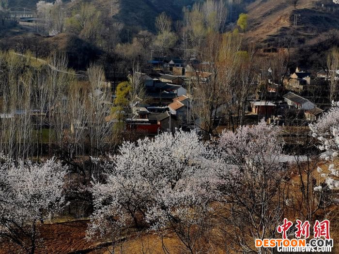 远眺山村美景如画。 涞源县委宣传部 摄