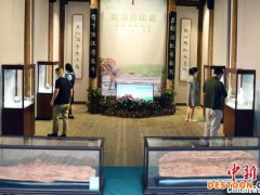 福建劳动模范艺术作品邀请展开展  致敬劳动者