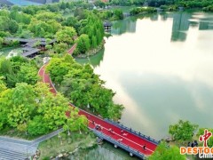 航拍江西赣州城市湿地公园 绿树葱茏春意盎然