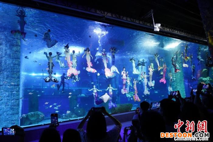 “美人鱼”大秀 赖昆明 摄