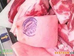 2022五一前后猪肉最新价格多少钱一斤？