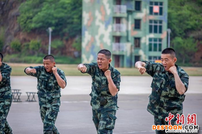 新训官兵正在进行擒敌术基础肘法课目会操。 孙立志 摄