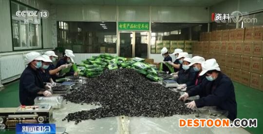 稳中求进看开局 | 今年一季度增幅超7.3% 农民工资性收入显著增长
