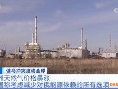 俄罗斯能源禁运？德国拉响“经济负增长”警报