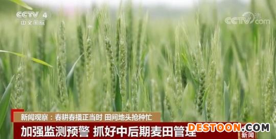 新闻观察：春耕春播正当时 田间地头抢种忙