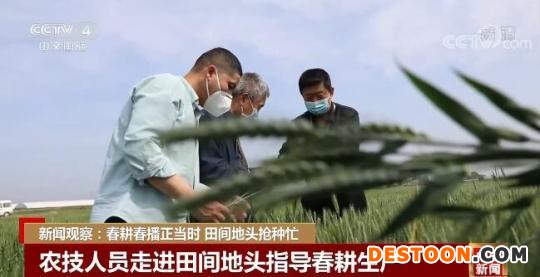 新闻观察：春耕春播正当时 田间地头抢种忙