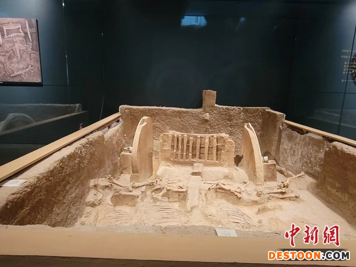  图为展出的文物。阿琳娜 摄 