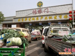 快吐了！囤菜北京人：菜汤加肉，喝了三天
