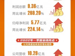 公司治理成果丰硕 恺英网络2021营收同增53.92%至23.75亿元