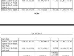 震有科技上市业绩连降去年亏 IPO募7.9亿中信证券保荐