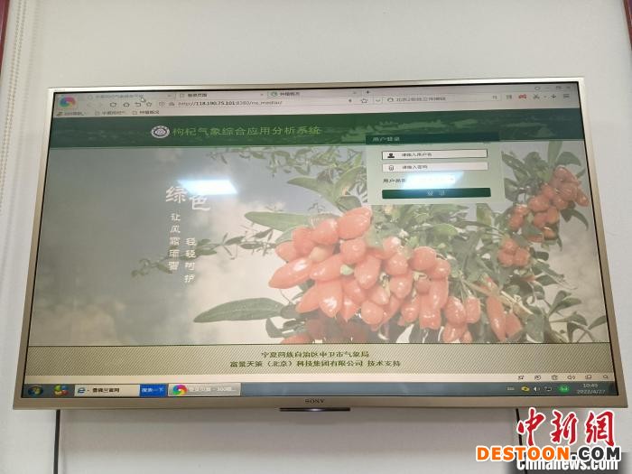 智能气象系统为枸杞的种植、生长、采收提供全方位服务。 杨萱 摄