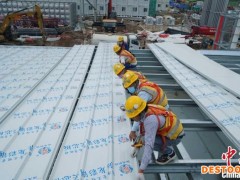 两万多名援港劳动者 用“速度”守护美丽香江