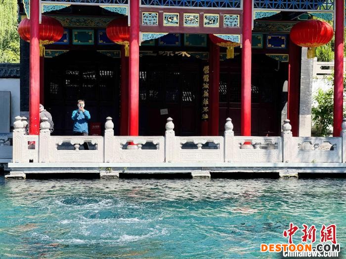 5月1日上午，山东济南，游客在趵突泉拍照打卡 曲寓直 摄