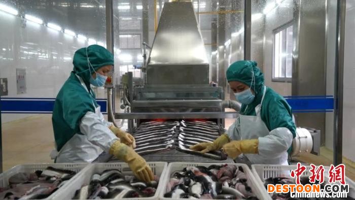 助企纾困福建宁德助力企业复工复产