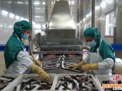 助企纾困 福建宁德助力企业复工复产