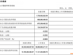 再亏9亿元 北汽蓝谷销量目标完成9%