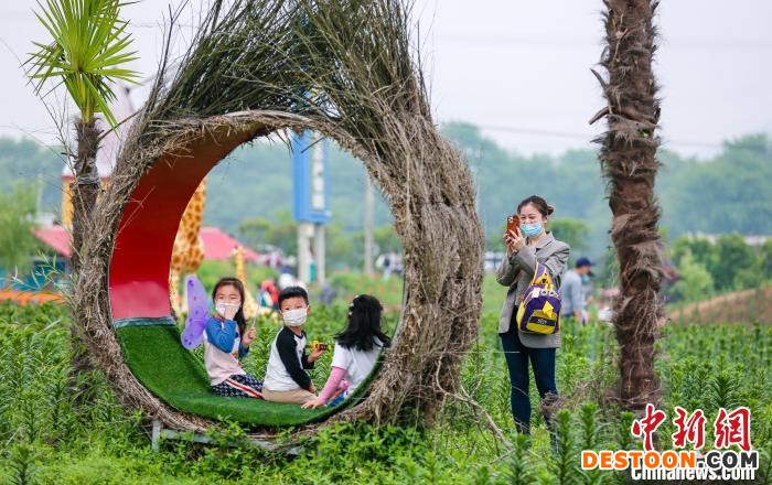5月1日，游客在安徽省铜陵市义安区天门镇金塔村农业生态旅游区游玩 陈晨 摄