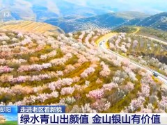 【走进老区看新貌】宁夏彭阳：绿水青山出颜值 金山银山有价值