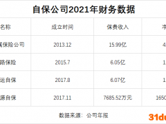 自保公司揭秘！数量极少、异常低调 盈利能力不容小觑