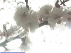 走进老区看新貌