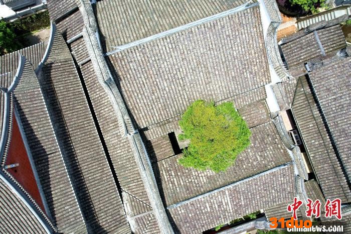 空中俯瞰林阳寺。 王东明 摄
