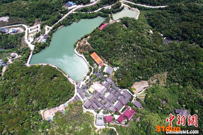 林阳寺数株千年古树，湖边绿草茵茵。 王东明 摄
