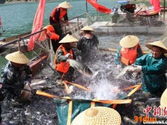 陕西安康：以“硒”兴业以“硒”富民 助力“绿色崛起”
