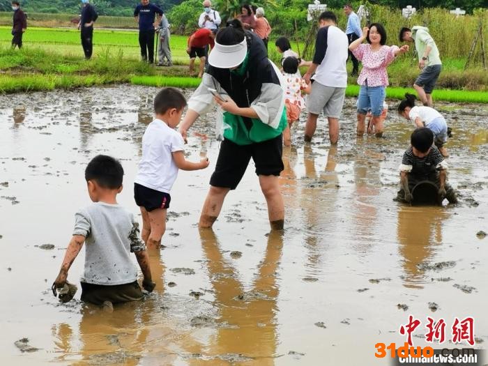 澄迈县保良咖啡古村迎来游客体验乡村旅游。 王谋超 摄