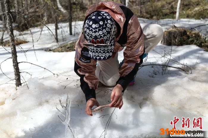 游客在森林里踏雪。 塔河县文旅局提供