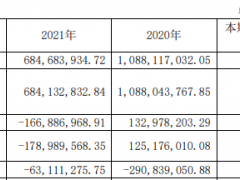 南新制药上市次年亏损1.67亿 IPO募12亿西部证券保荐