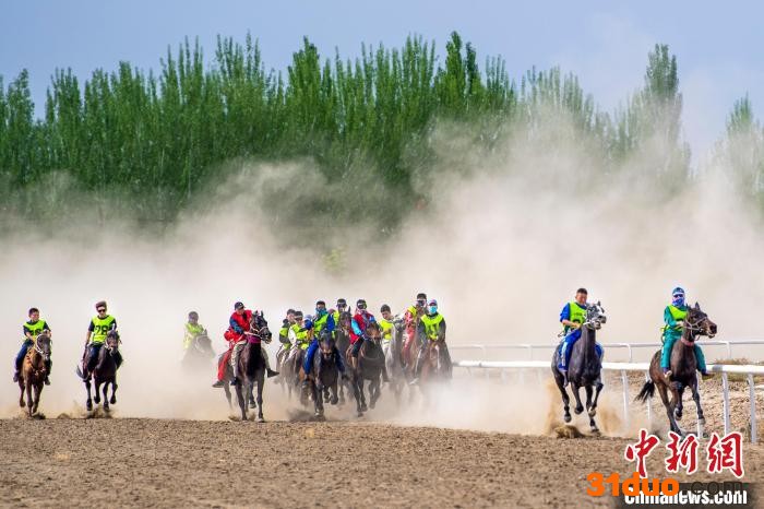 骑手驾驭骏马飞奔中，掀起尘雾。 闵勇 摄