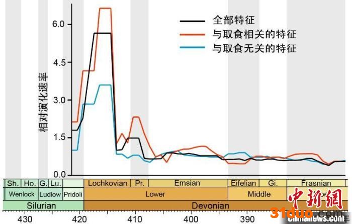 肺鱼类特征的演化速率。 崔心东 供图