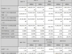 鼎龙文化2021年净利大减近九成，钛矿利润未达预期