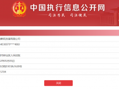 大地影院新增两条被执行人信息 执行标的合计超1.48亿元