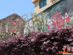 【十年@每一个奋斗的你】台湾团队在闽东：寻一方乡土，筑一处家园