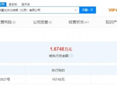 王忠磊胡海泉持股公司被强制执行 执行标的约1.67万元