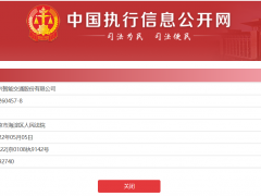 中兴智能交通被强制执行219万