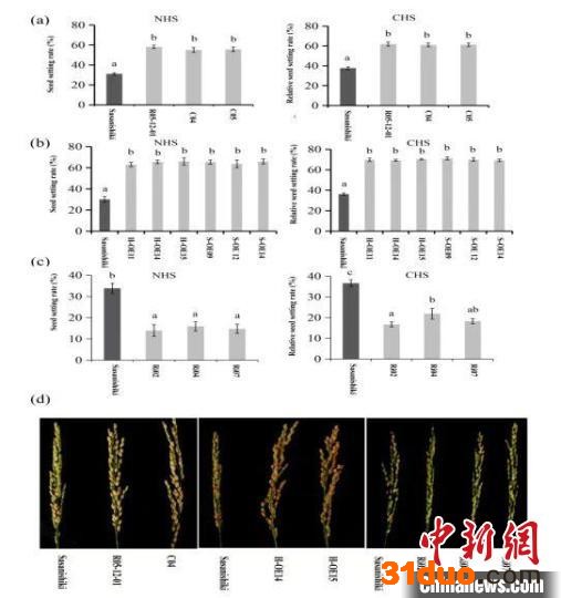 江西科研团队成功克隆水稻高温环境适应性基因HTH5