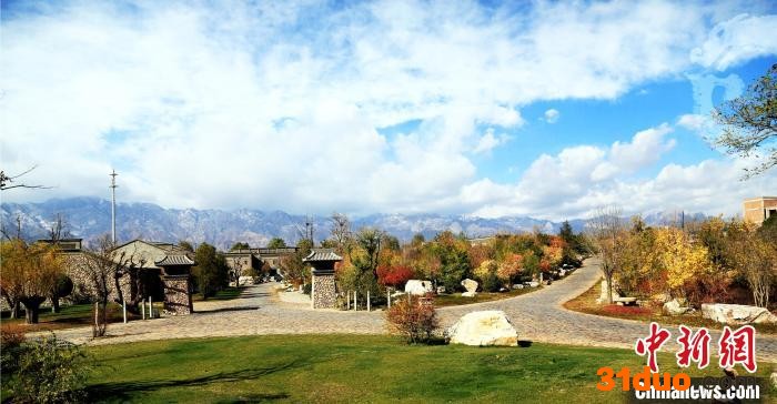 贺兰山下的葡萄酒庄。 银川市委宣传部供图