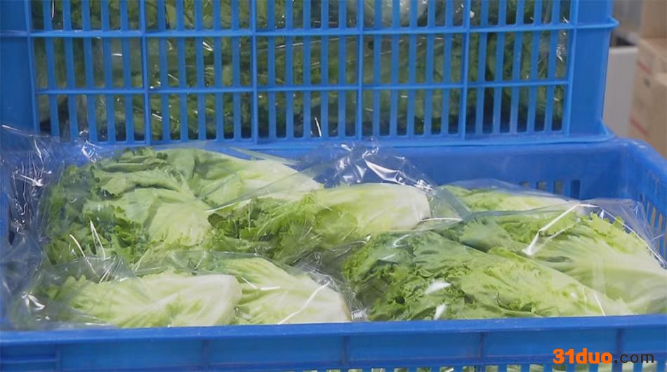 打包好的生菜