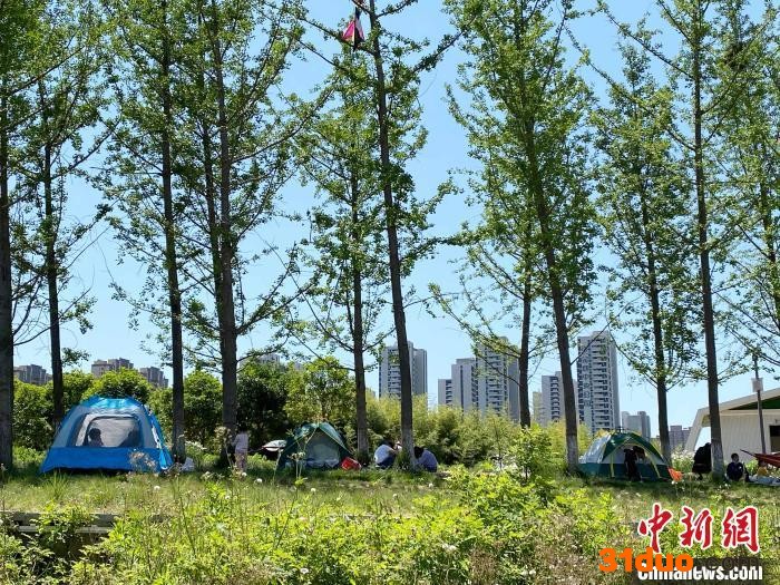 资料图：民众在西安南郊一公园内露营。 张一辰 摄