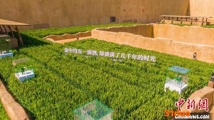 麦田里的展品。 河南省文化和旅游厅供图