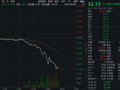 二季度业绩低于预期致股价大跌10%？爱尔眼科回应：这个说法莫名其妙