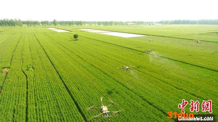 山东稳保“菜篮子”蔬菜生产供应量日均可达30万吨左右