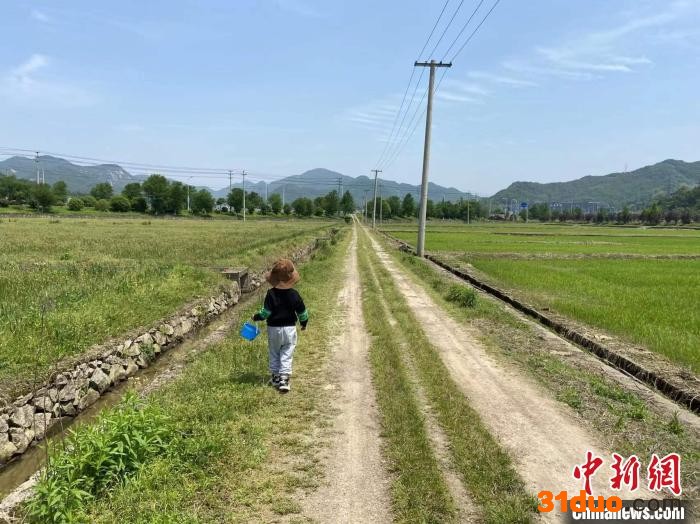 象山乡村一景。 林波 摄