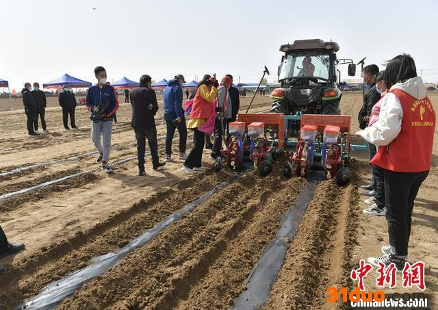 图为大豆玉米带状复合种植现场观摩会。 高晓龙 摄